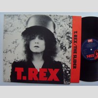 nw000103 (T.REX — The Slider)