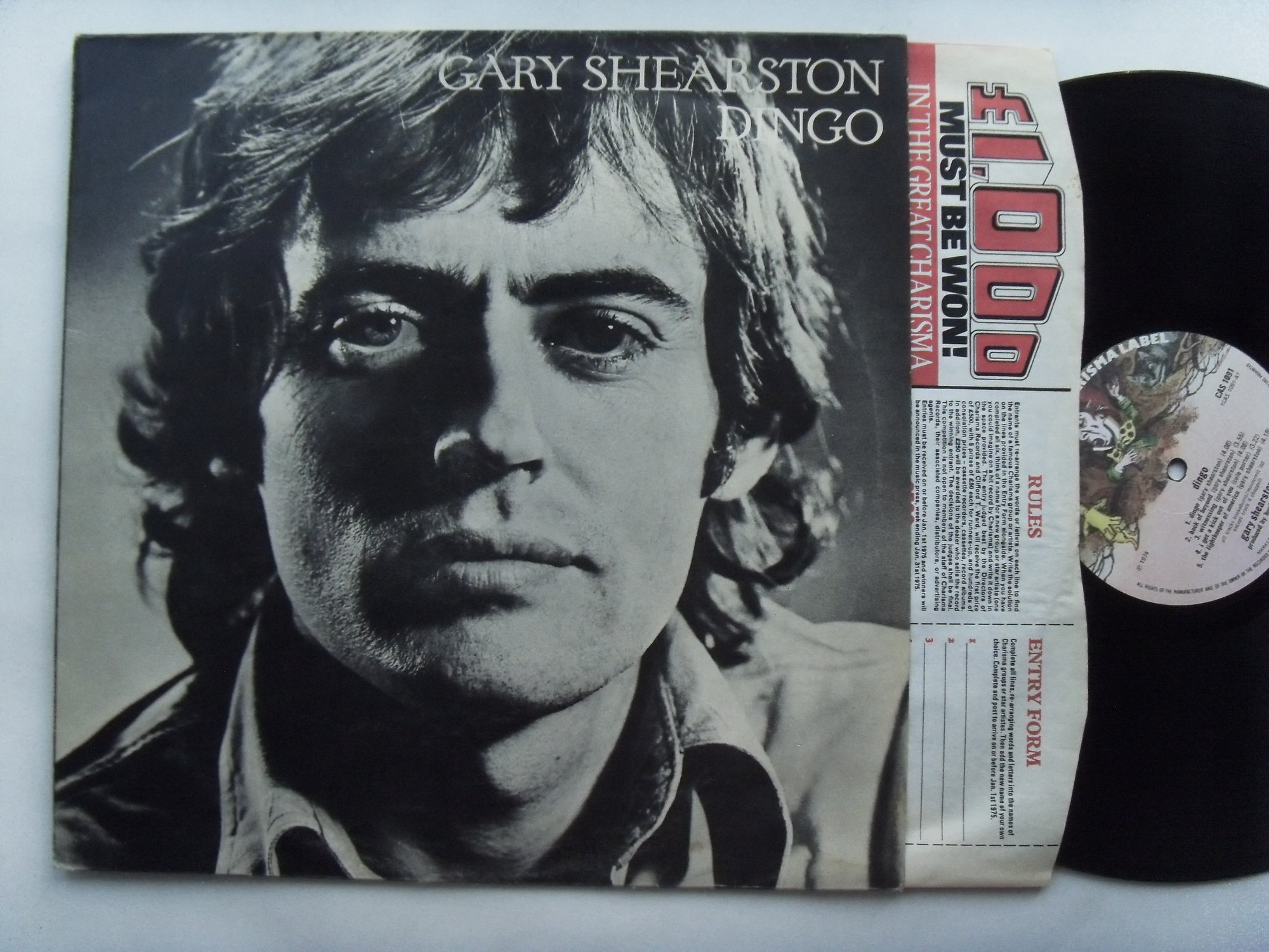 Gary SHEARSTON Dingo 2 Gary SHEARSTON Dingo 2