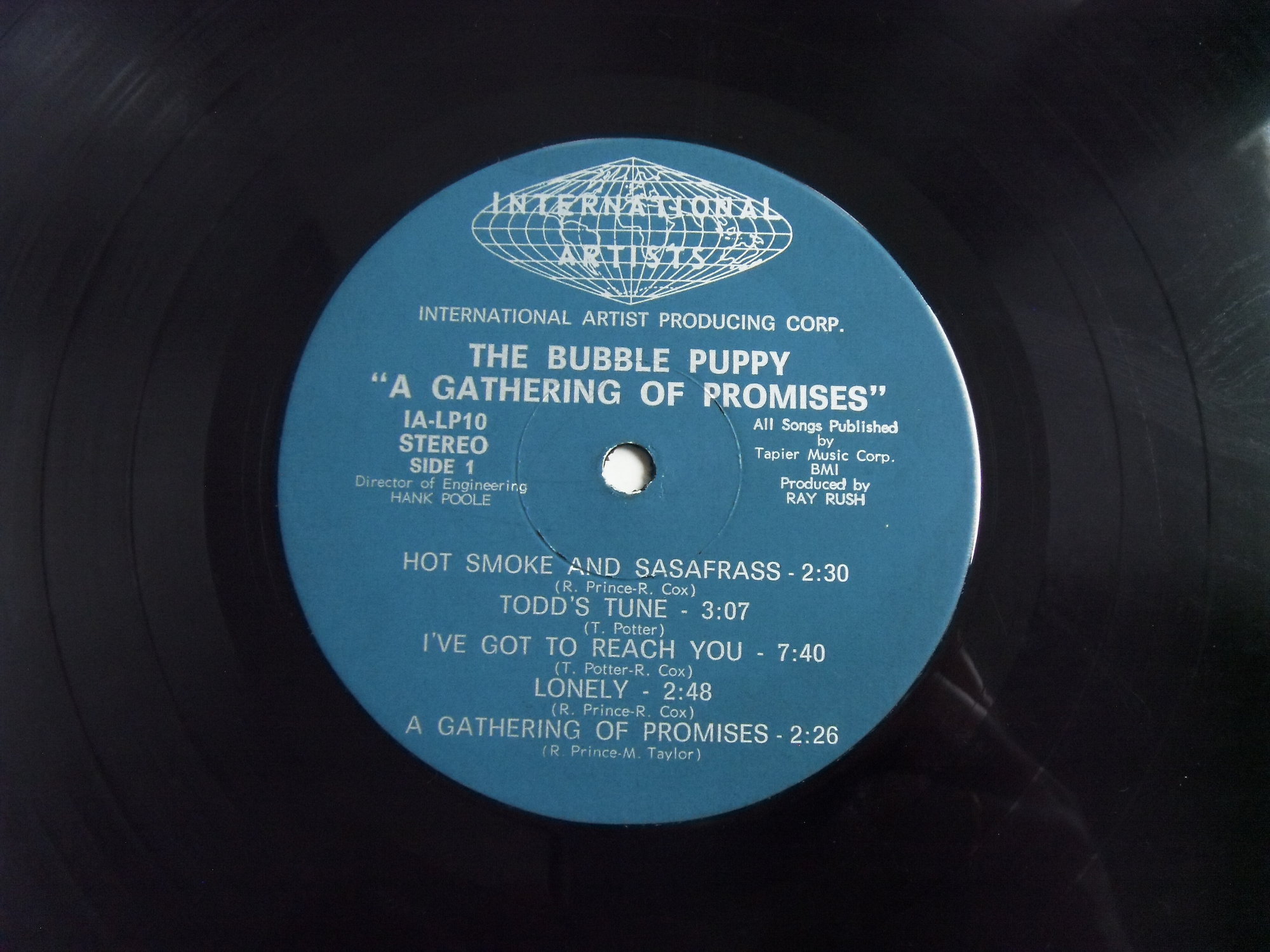 BUBBLE PUPPY A Gathering of Promises 2 BUBBLE PUPPY A Gathering of Promises 2