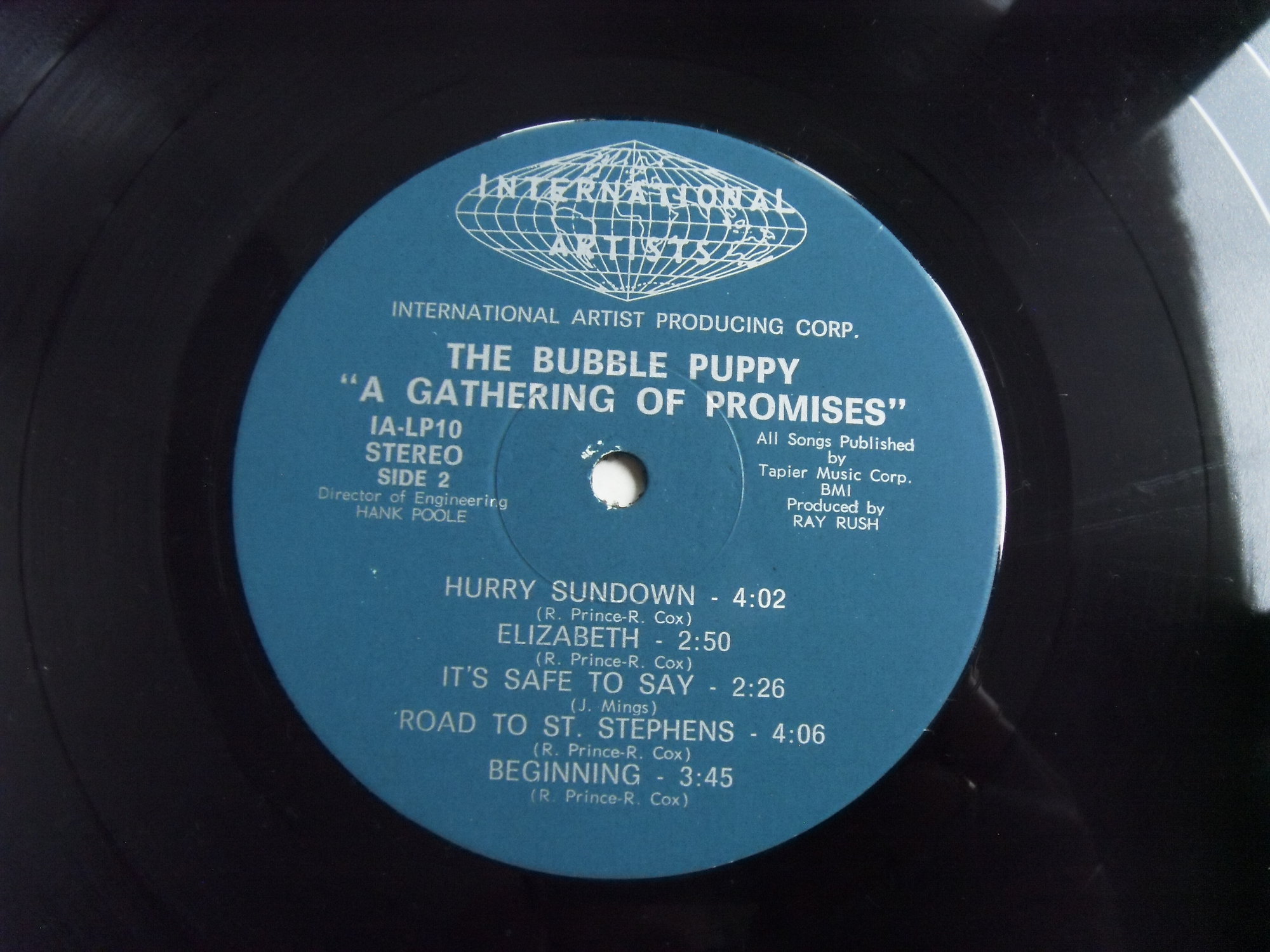 BUBBLE PUPPY A Gathering of Promises 2 BUBBLE PUPPY A Gathering of Promises 2