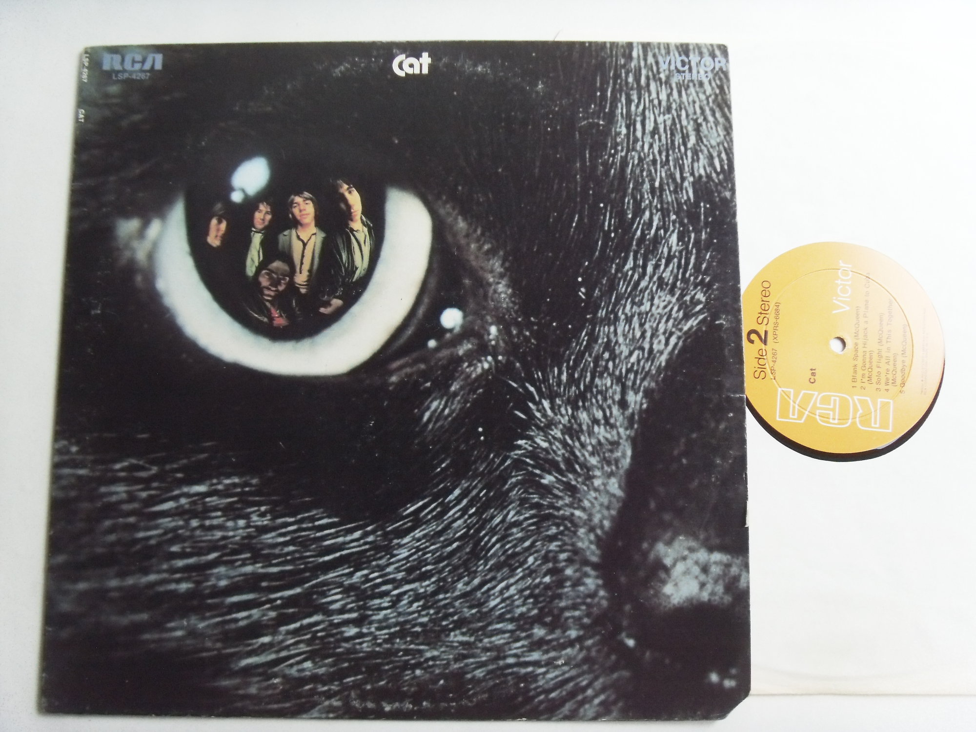 CAT Cat 2 CAT Cat 2