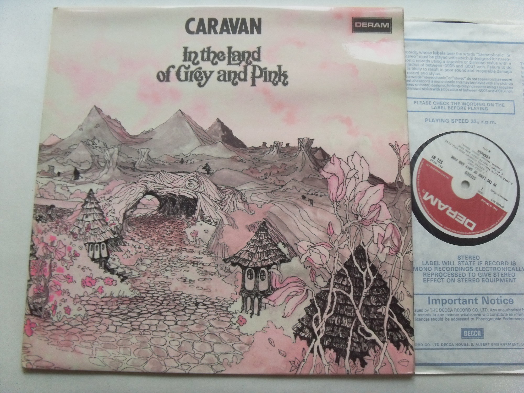CARAVAN In The Land Of Grey And Pink 2 CARAVAN In The Land Of Grey And Pink 2