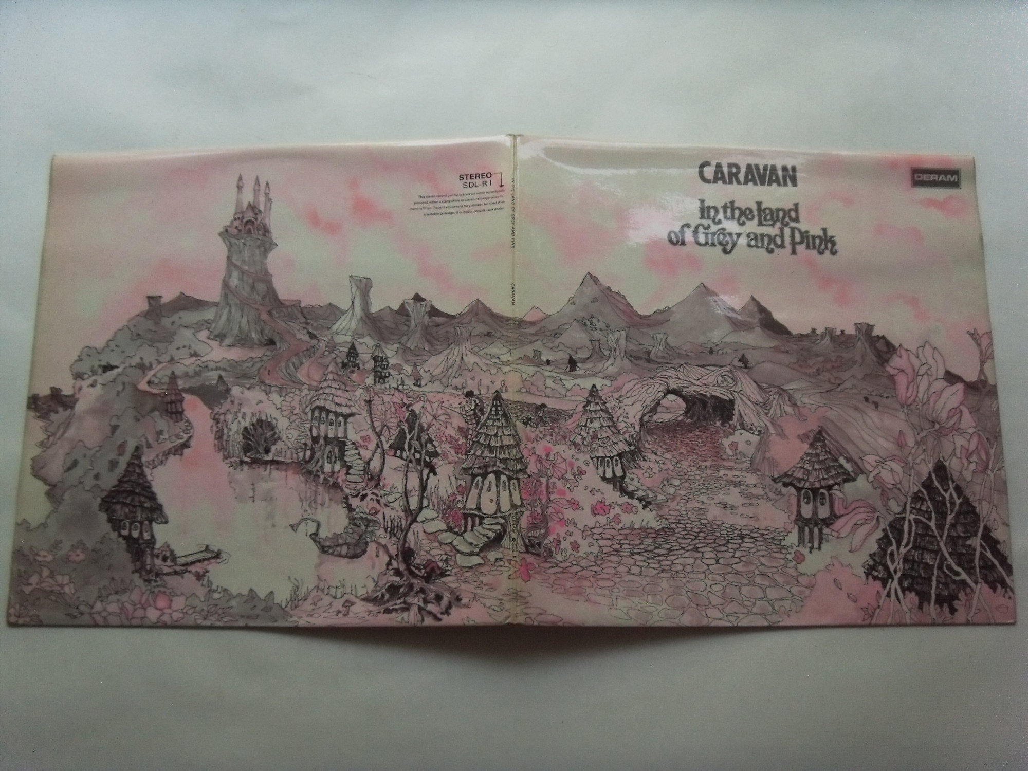 CARAVAN In The Land Of Grey And Pink 2 CARAVAN In The Land Of Grey And Pink 2