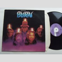 nw000793 (DEEP PURPLE — Burn)