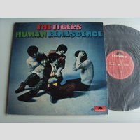 nw001014 (THE TIGERS — Human renascence)