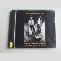 nw001252 (TYRANNOSAURUS REX — Prophets, Seers & Sages The Angels of the Ages)