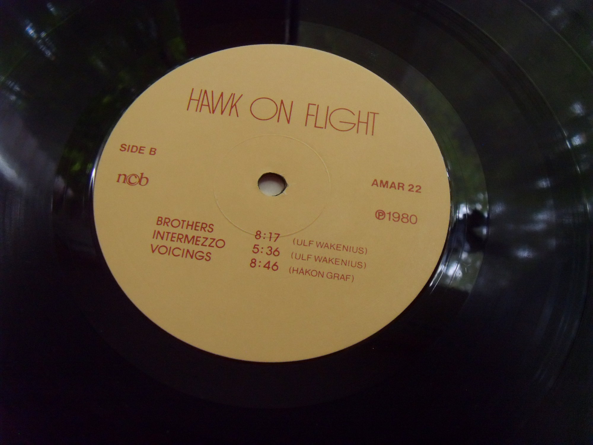 HAWK ON FLIGHT Hawk on Flight 2 HAWK ON FLIGHT Hawk on Flight 2