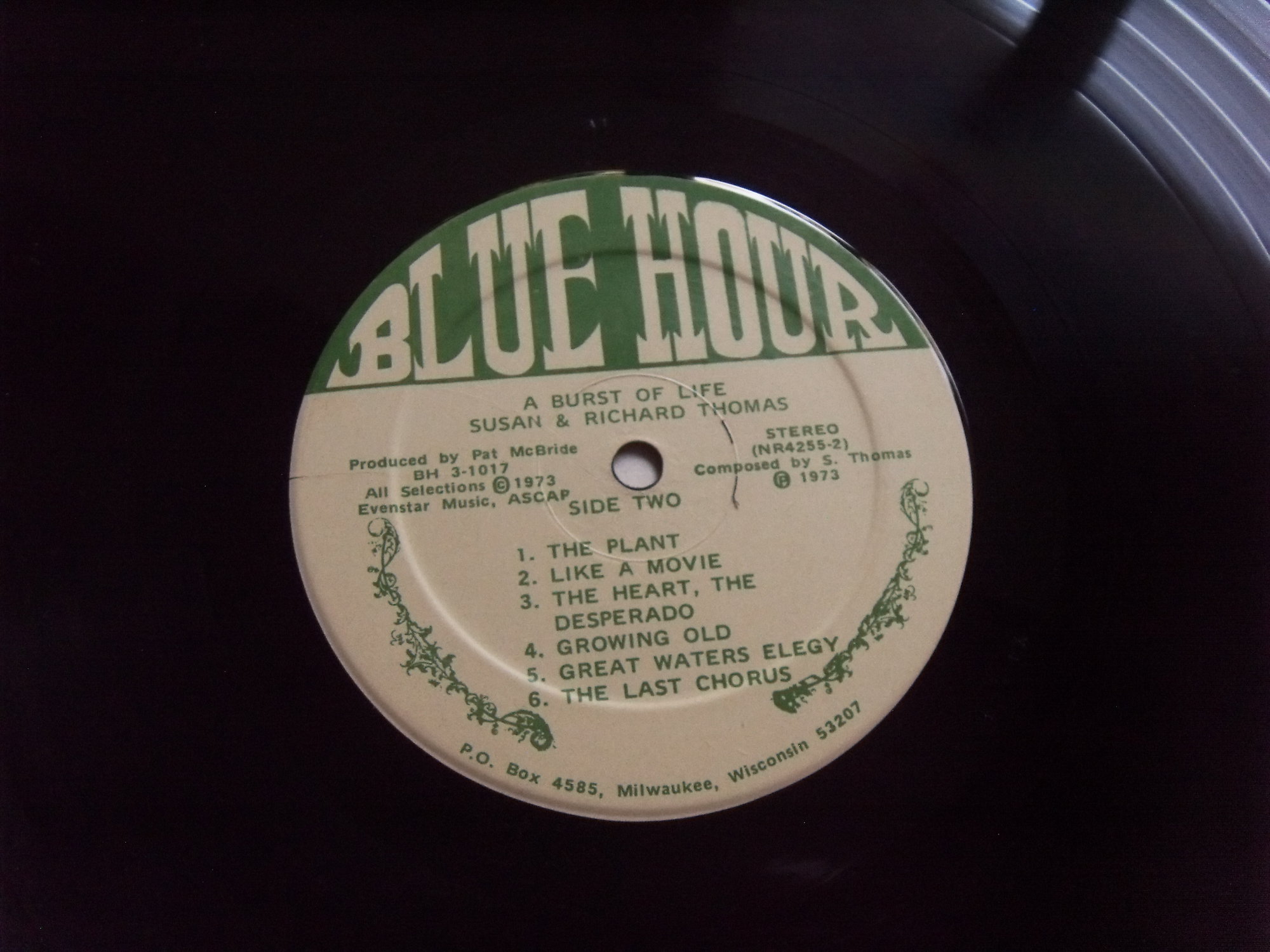 Susan & Richard THOMAS A Burst of Life 2 Susan & Richard THOMAS A Burst of Life 2