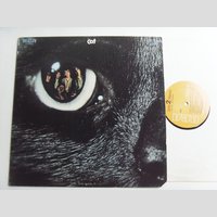 nw000382 (CAT — Cat)