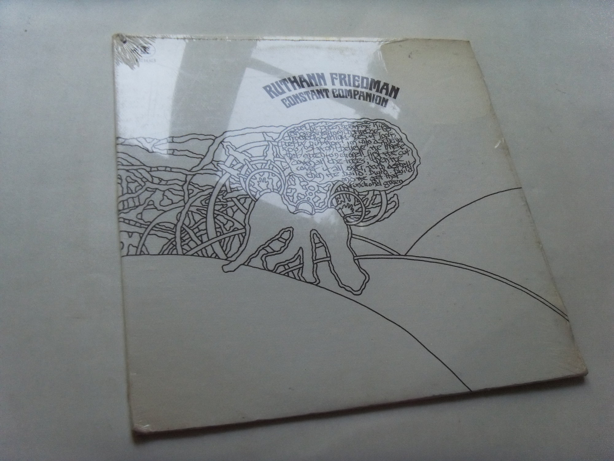 Ruthann FRIEDMAN Constant Companion 2 Ruthann FRIEDMAN Constant Companion 2