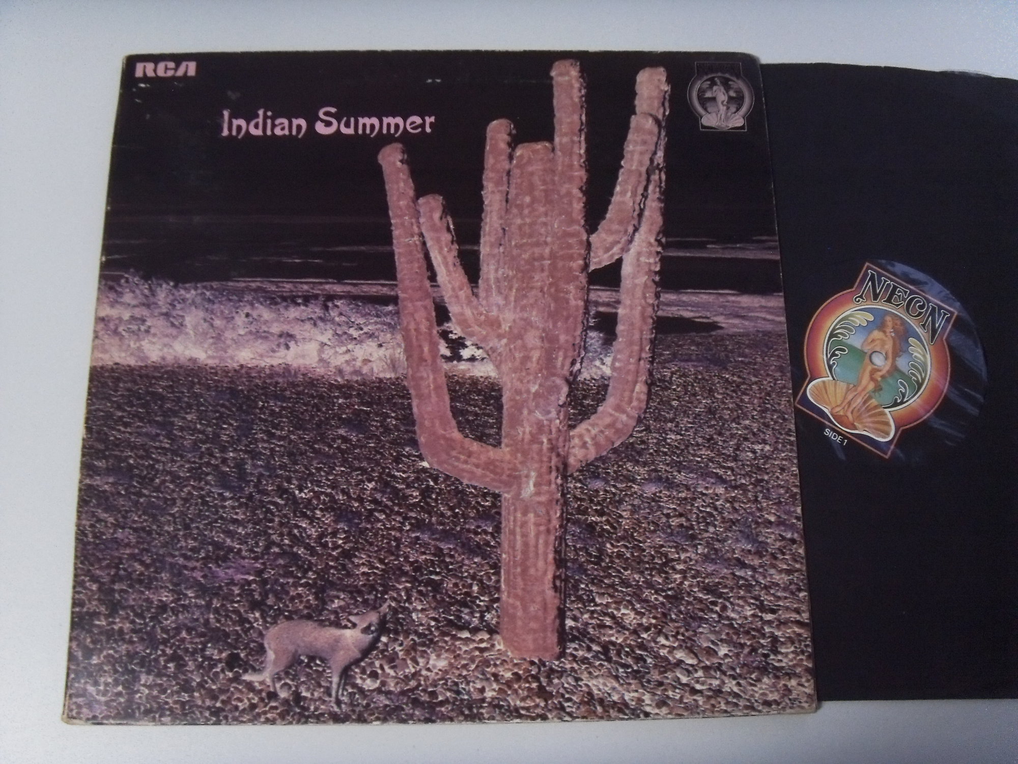 INDIAN SUMMER Indian Summer 2 INDIAN SUMMER Indian Summer 2