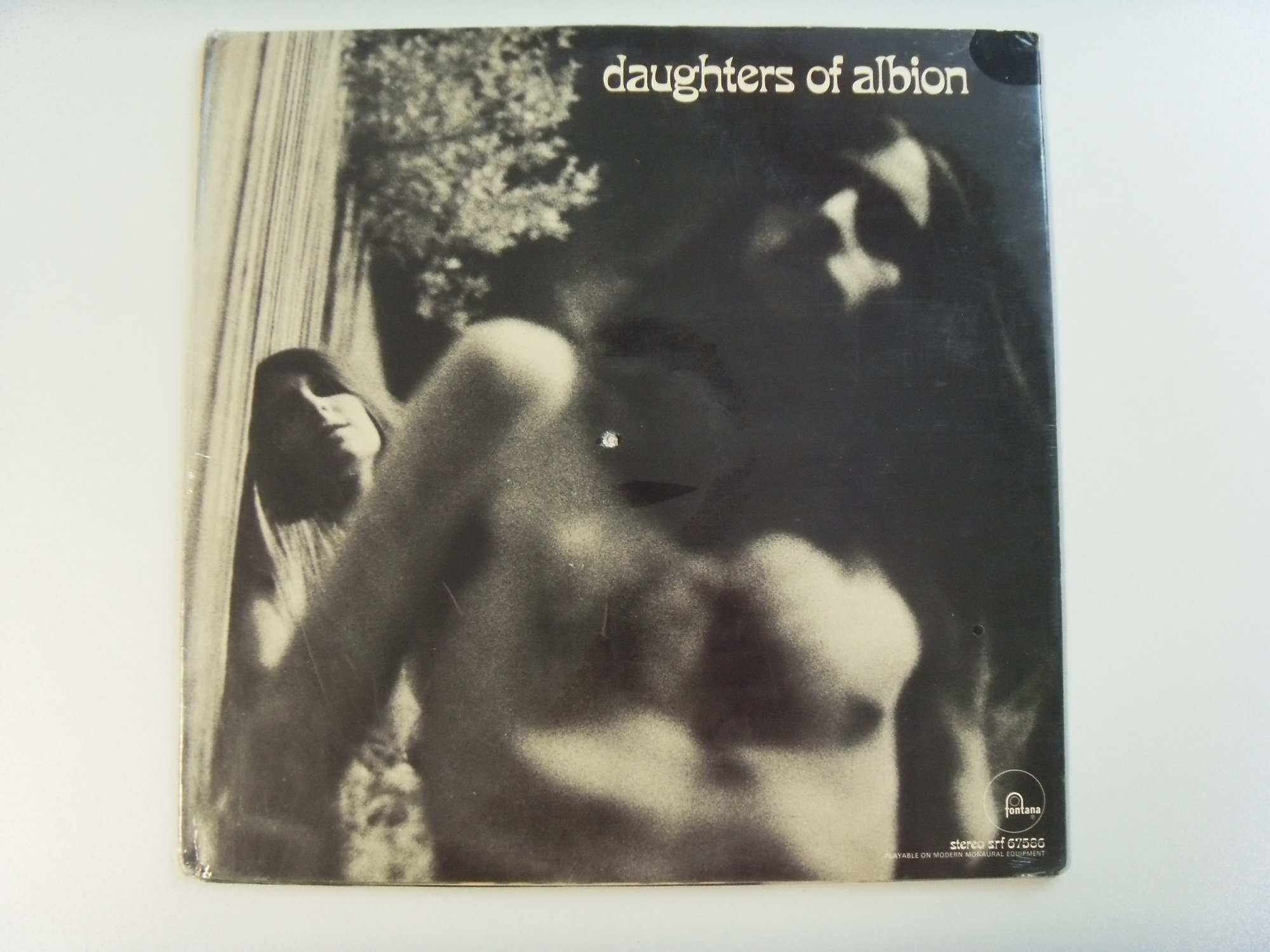 DAUGHTERS OF ALBION Daughters of Albion 2 DAUGHTERS OF ALBION Daughters of Albion 2