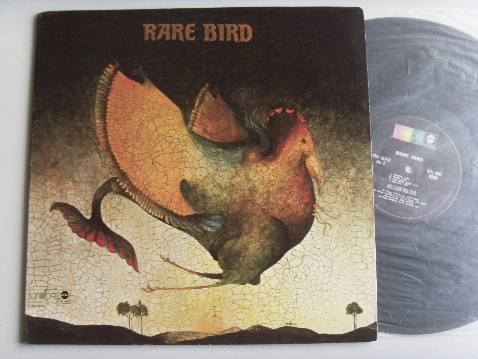 RARE BIRD Rare Bird 2 RARE BIRD Rare Bird 2