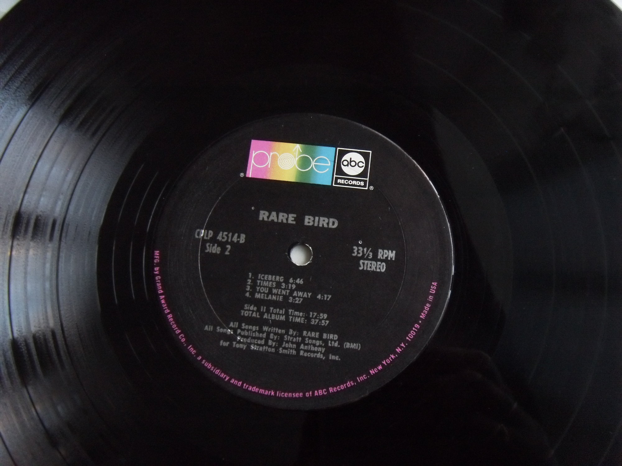 RARE BIRD Rare Bird 2 RARE BIRD Rare Bird 2