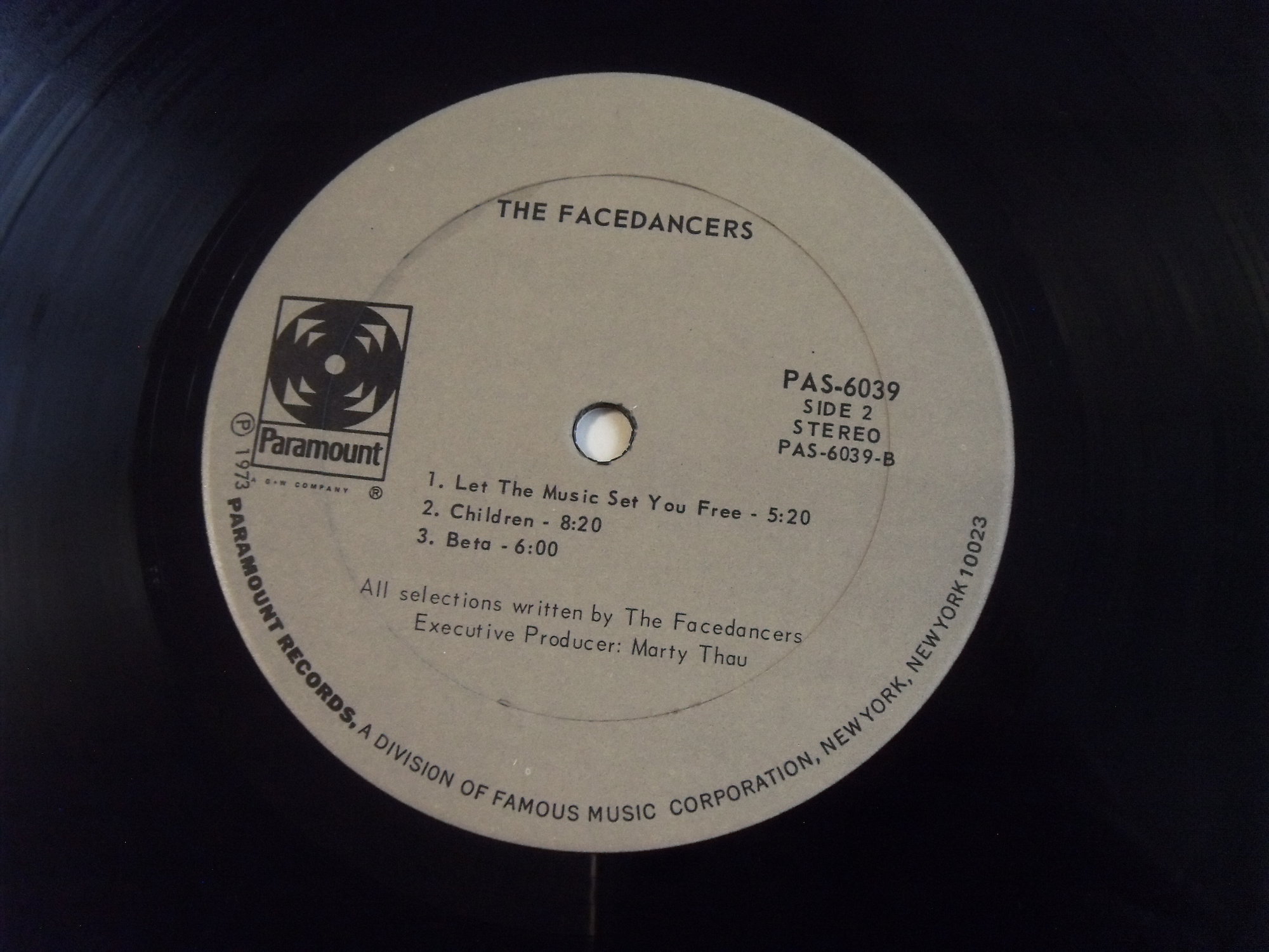 THE FACEDANCERS The Facedancers 2 THE FACEDANCERS The Facedancers 2