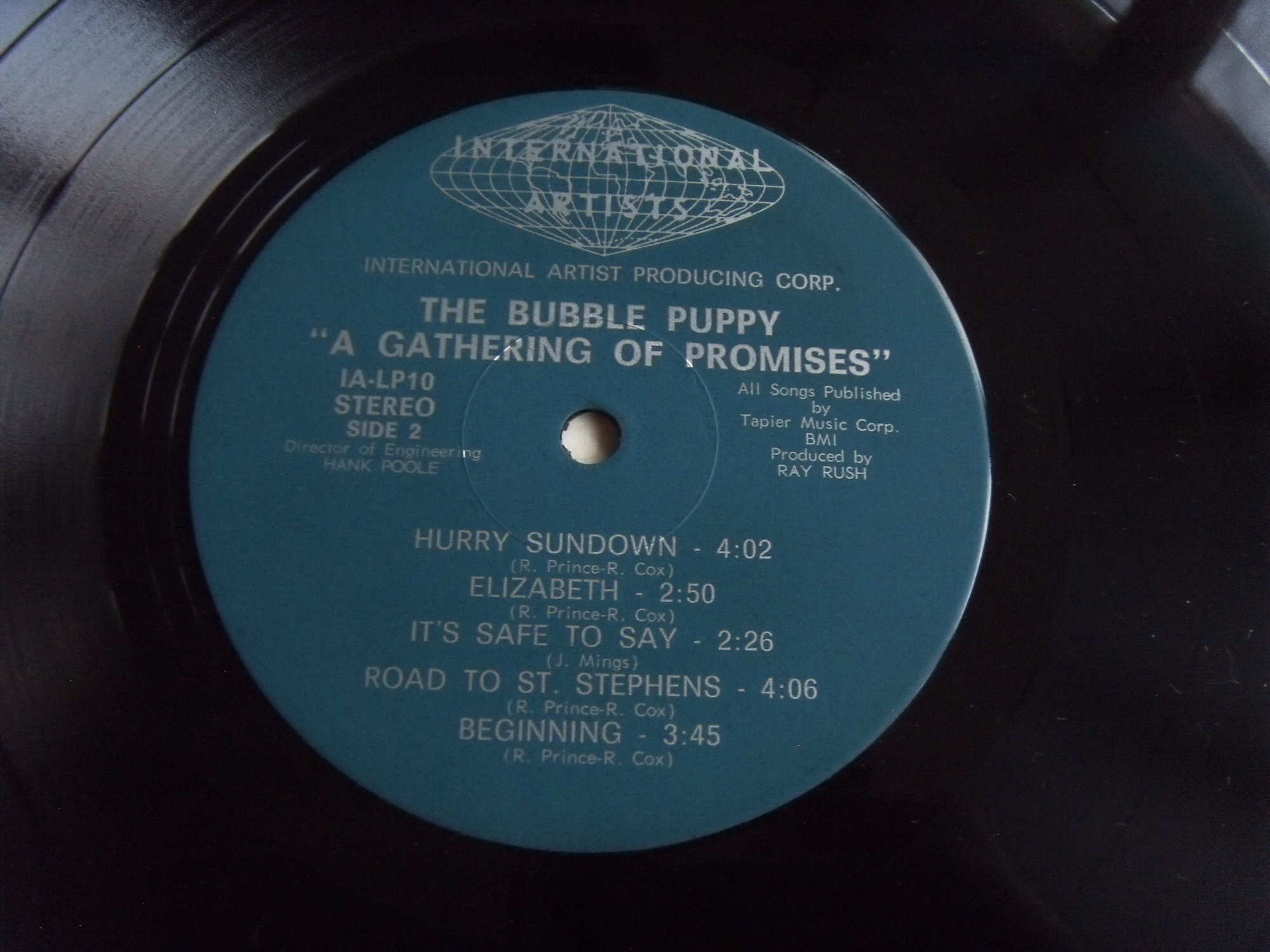 BUBBLE PUPPY A Gathering of Promises 2 BUBBLE PUPPY A Gathering of Promises 2