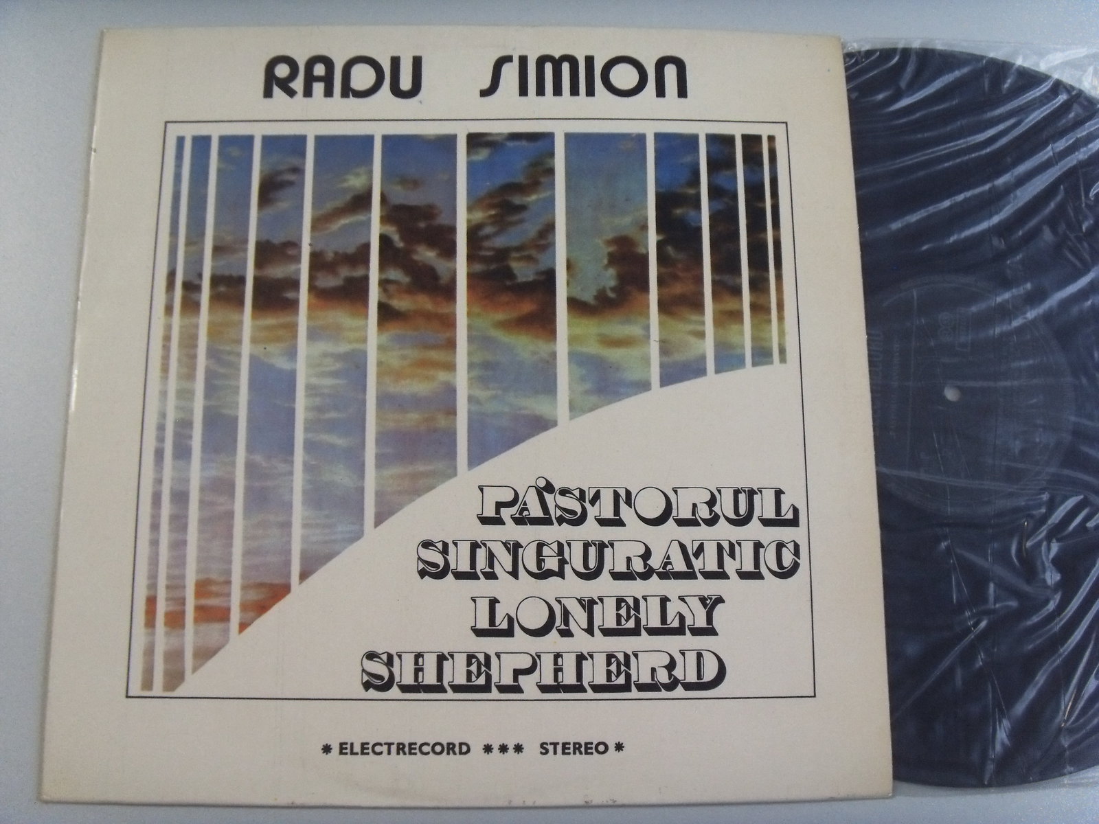 Radu SIMION Lonely Shepherd 2 Radu SIMION Lonely Shepherd 2